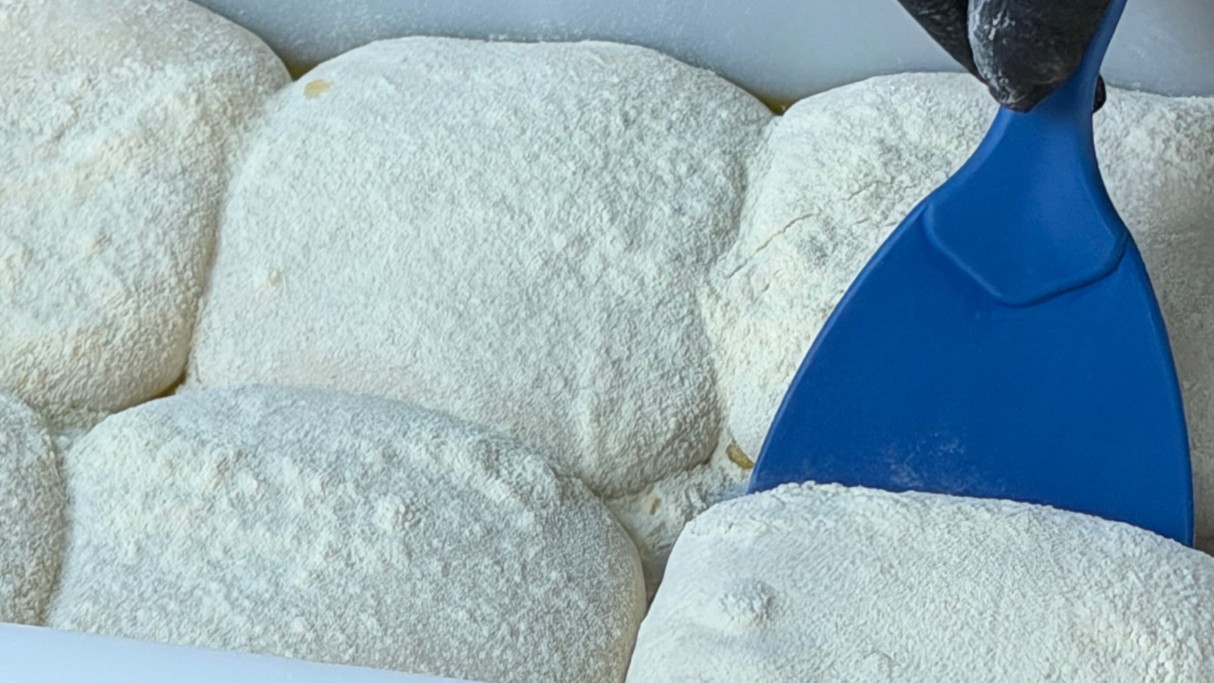 Gereifte Pizzateiglinge in einer bemehlten Teigbox